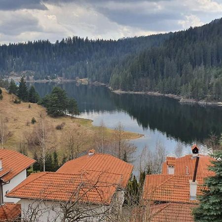 Вила Родопи Dospat Bagian luar foto
